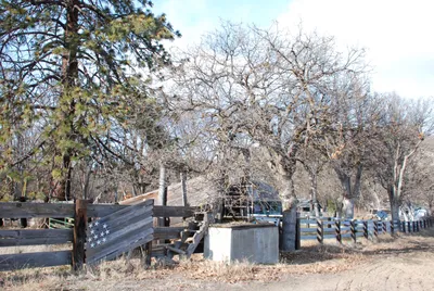 DSC_0013 (Large).JPG